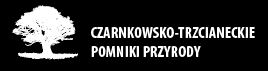 Czarnkowsko-Trzcianeckie Pomniki Przyrody